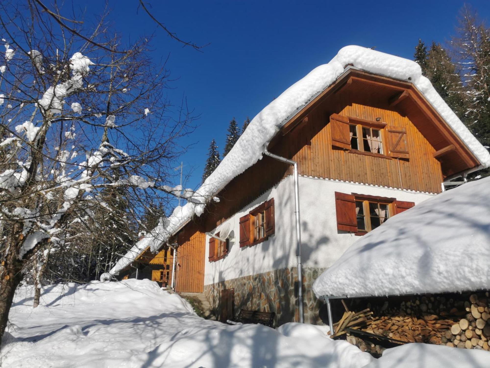 Pohorje House 2 Four Appartmetns Oplotnica Exterior photo